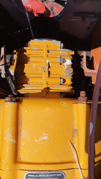 Motor Faraymann marinizat 20cp diesel,inversor Wurth